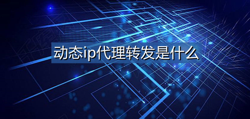 動態(tài)代理IP的重要性有哪些？
